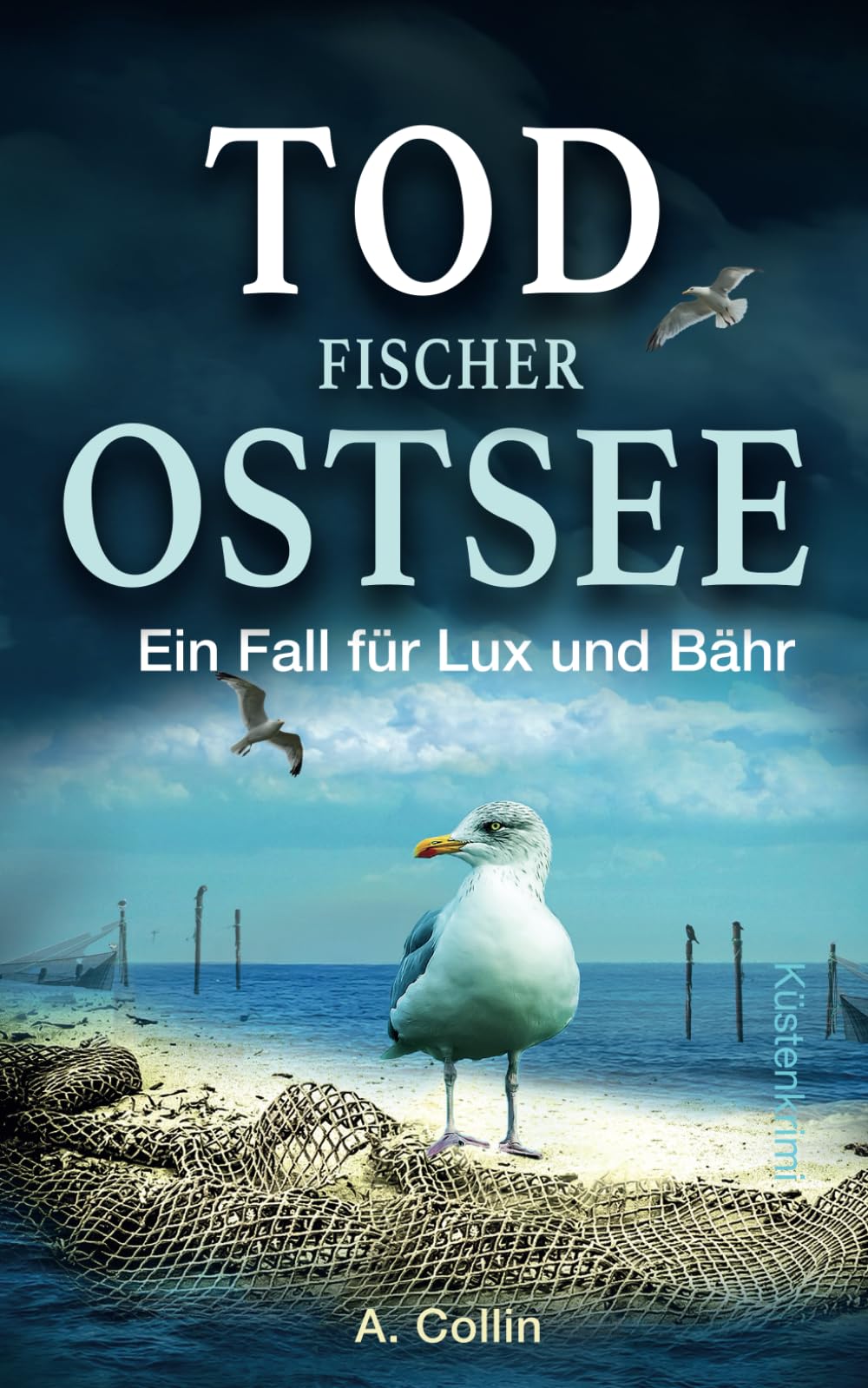 Todfischer Ostsee: Küstenkrimi (Ein Fall für Lux und Bähr 11) (Die Ostseekommissare Lux und Bähr, Band 11) Action & Adventure
