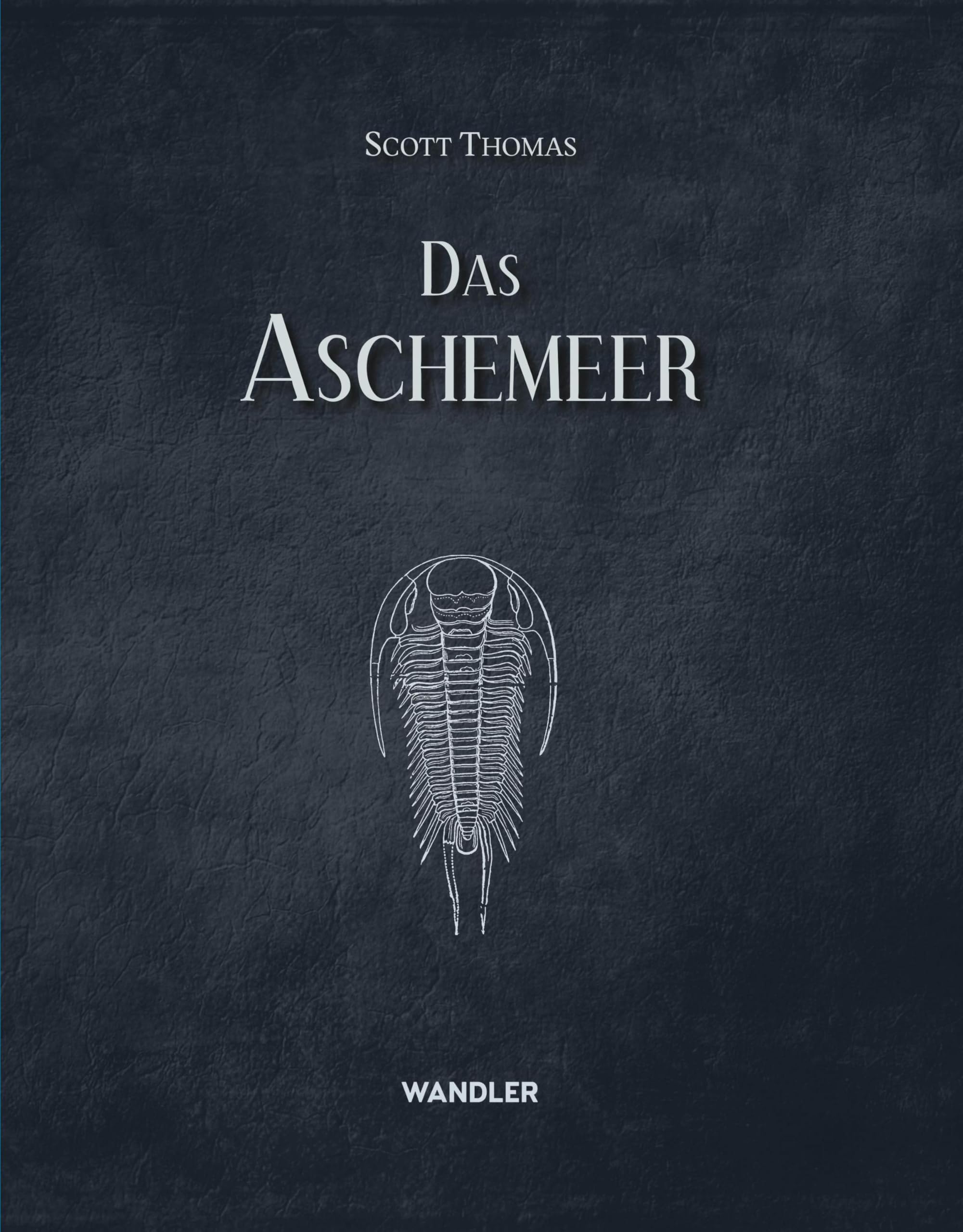 Product Image: Das Fleischmeer/Das Aschemeer