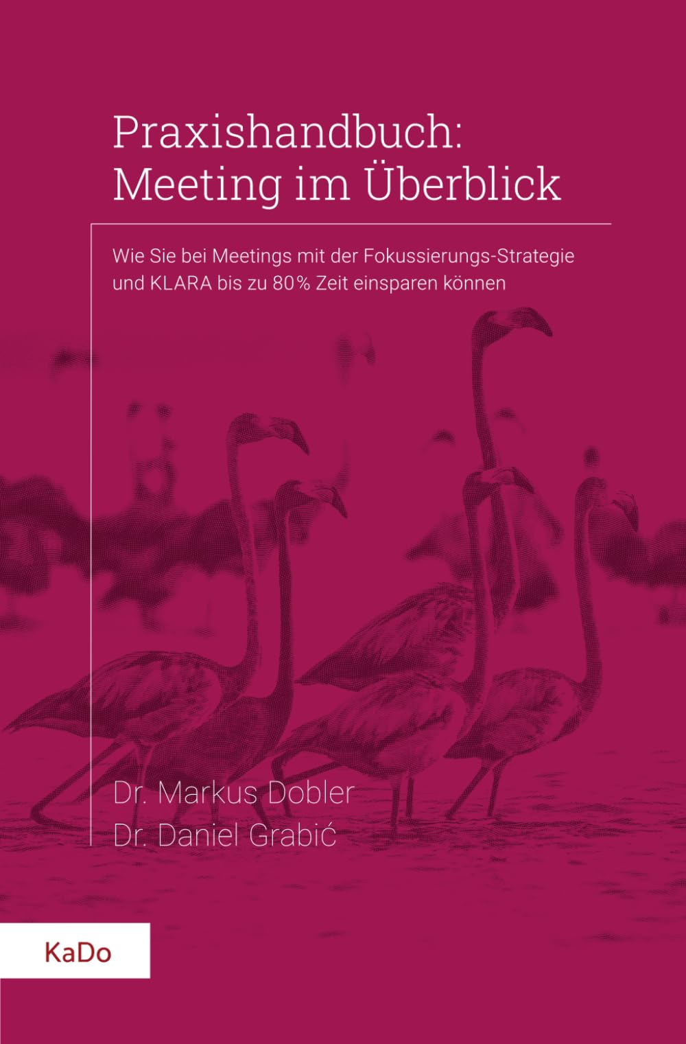 Praxishandbuch: Meeting im Überblick book