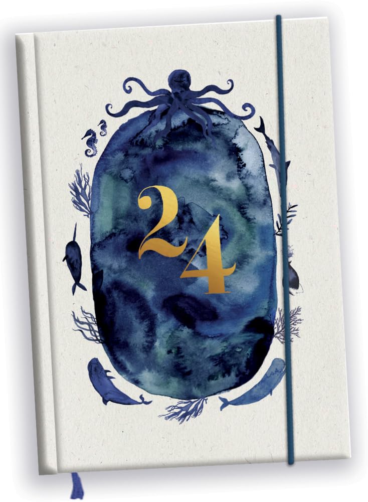 Taschenkalender 2024: Wale und Meer (Taschenkalenderbuch) Film, Art & Culture