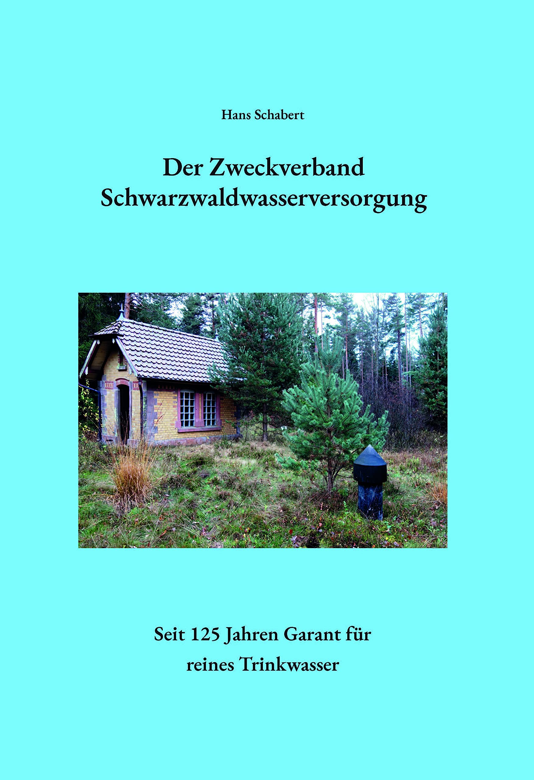 Der Zweckverband Schwarzwaldwasserversorgung: Seit 125 Jahren ein Garant für reines Trinkwasser Social Sciences