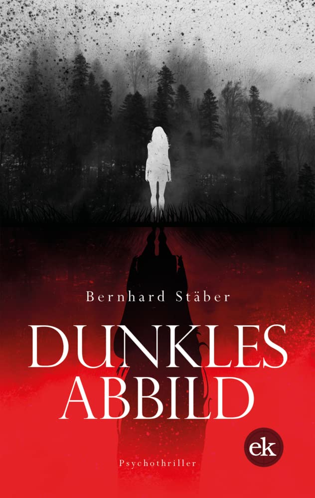 Dunkles Abbild: Ein Psychothriller aus Norwegen Contemporary literature