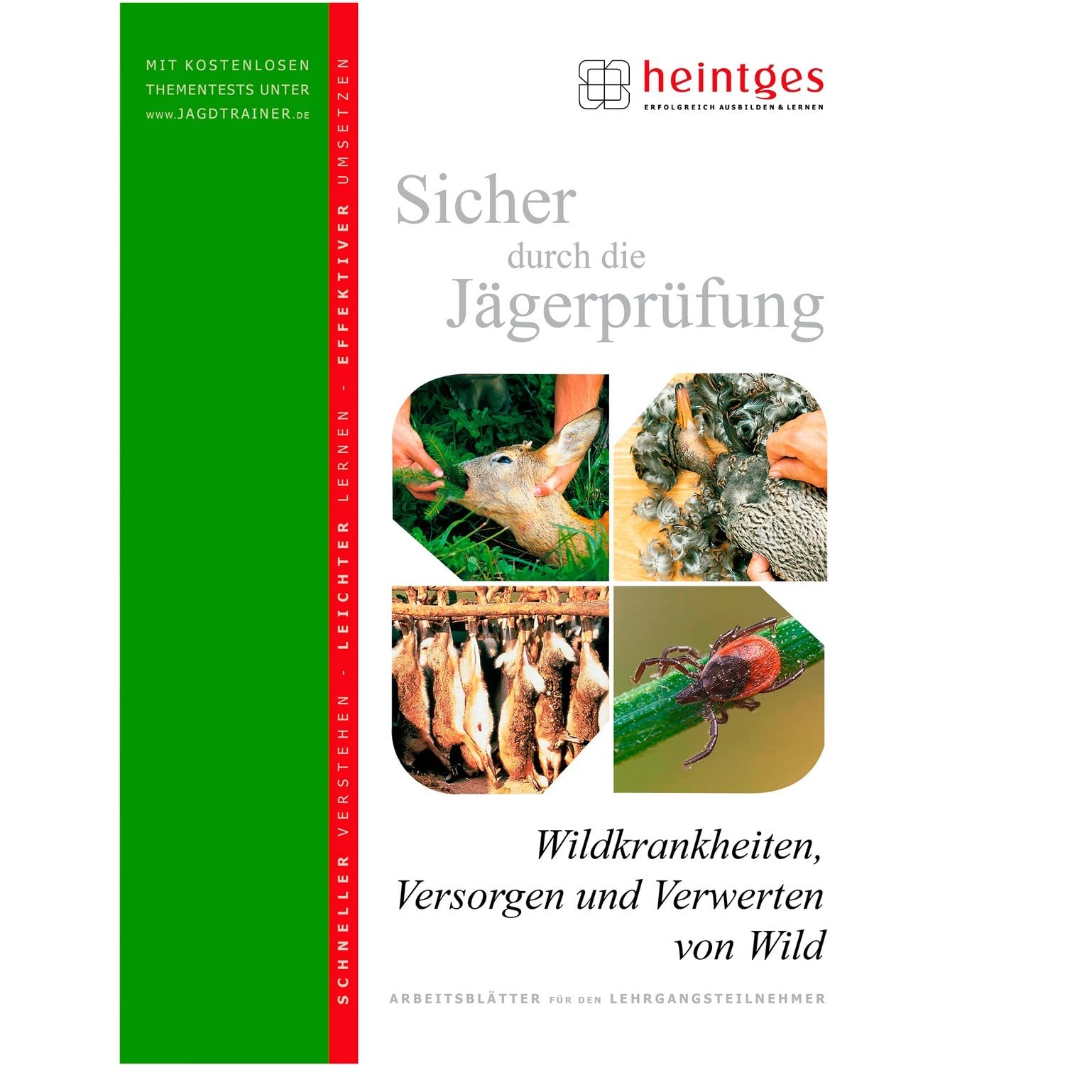 Wildkrankheiten, Versorgen und Verwerten von Wild (Sicher durch die Jägerprüfung. Arbeitsblätter) Leisure & Fun