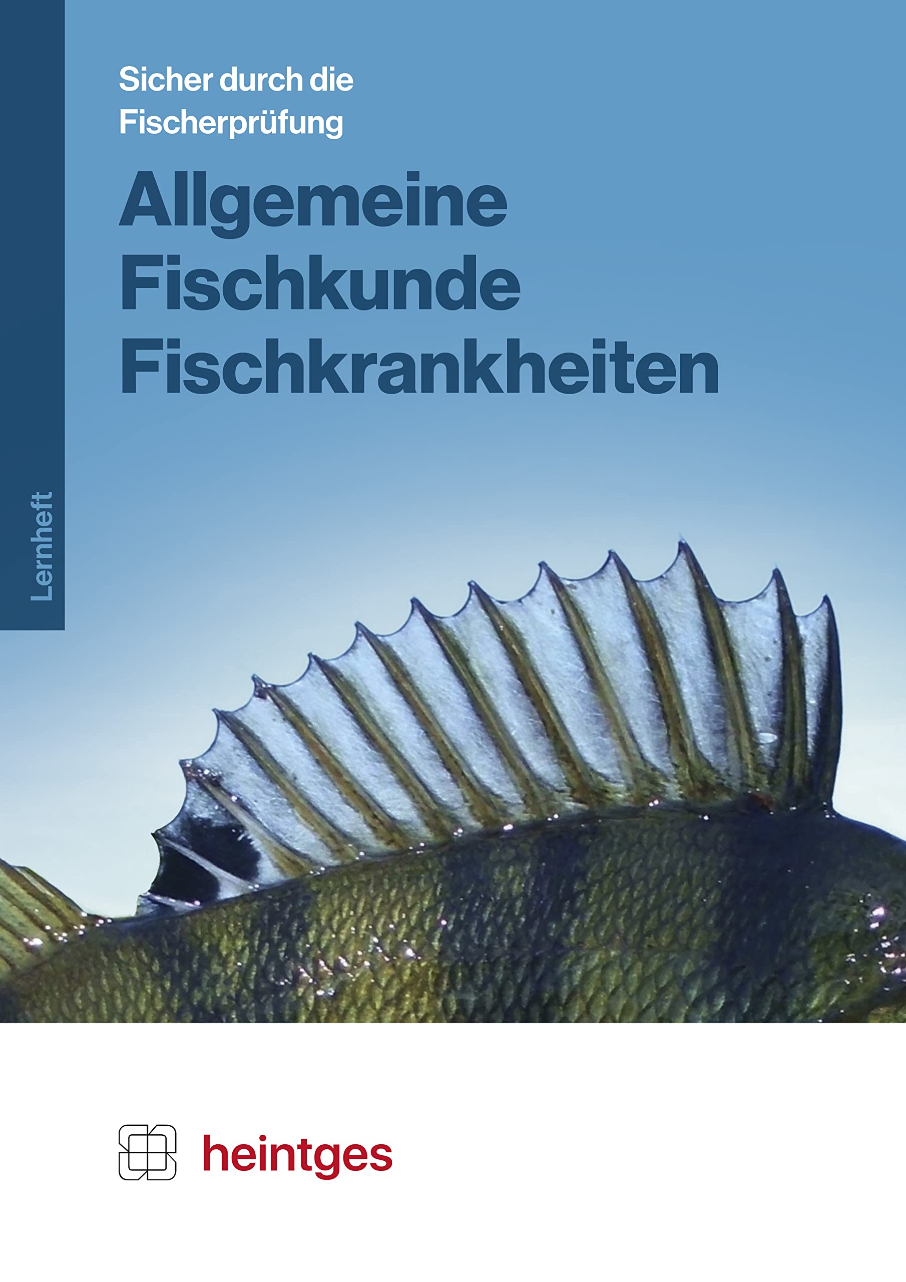 Allgemeine Fischkunde, Fischkrankheiten (Sicher durch die Fischerprüfung. Arbeitsblätter) Leisure & Fun