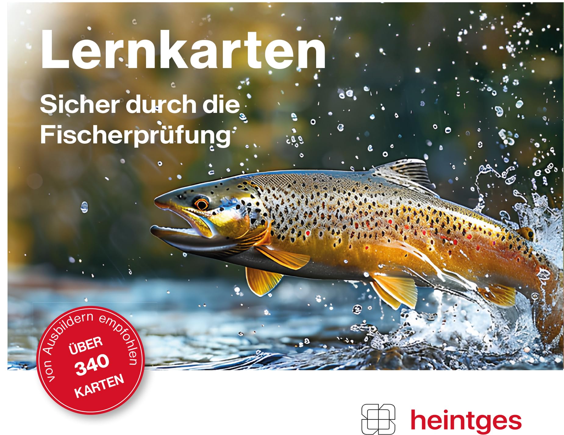 Lernkarten: Sicher durch die Fischerprüfung Leisure & Fun