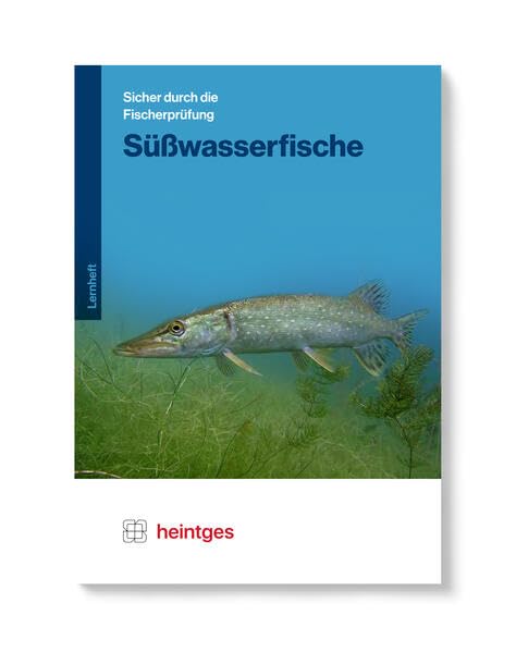 Süßwasserfische (Sicher durch die Fischerprüfung. Arbeitsblätter) Leisure & Fun