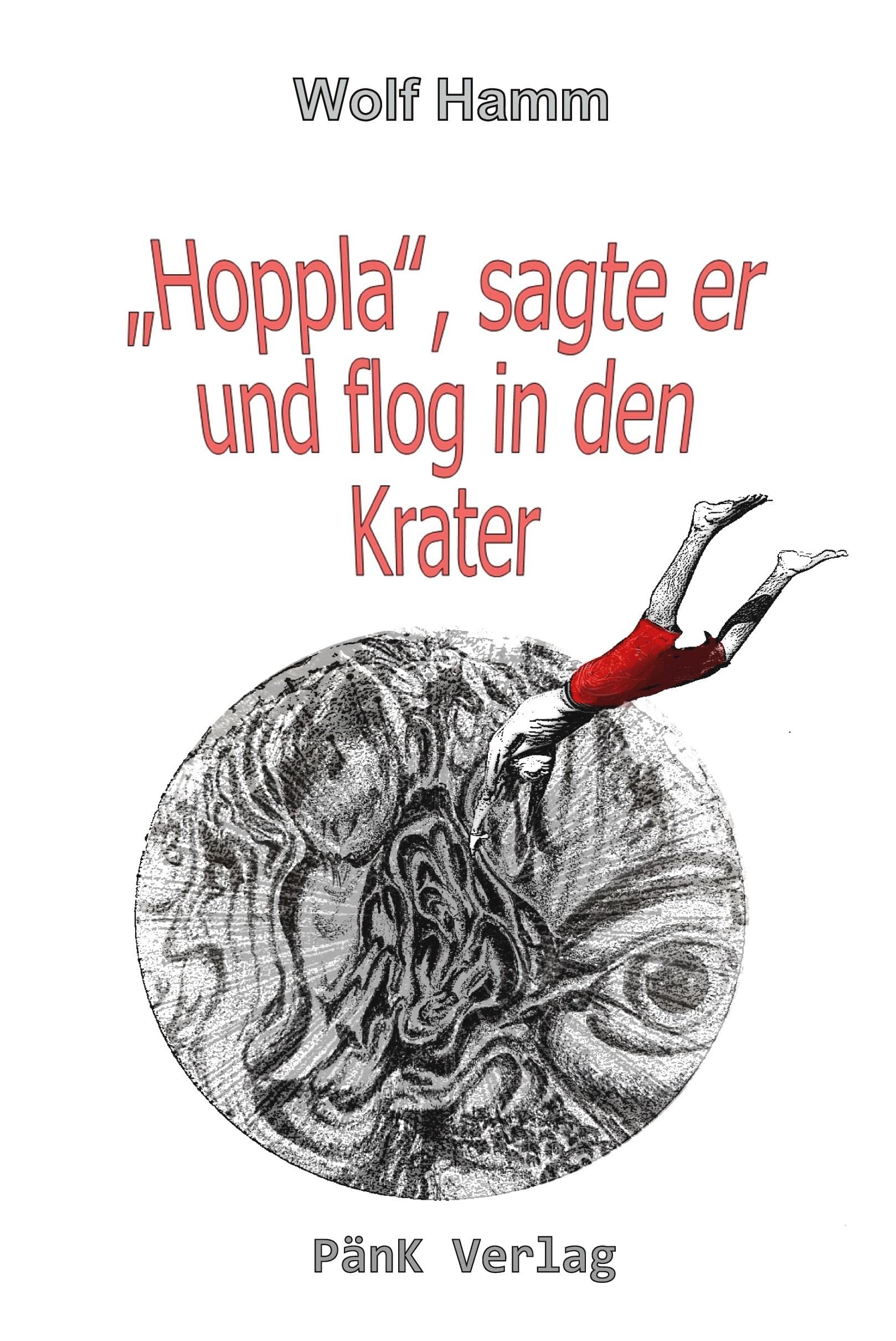 "Hoppla", sagte er und flog in den Krater Contemporary literature