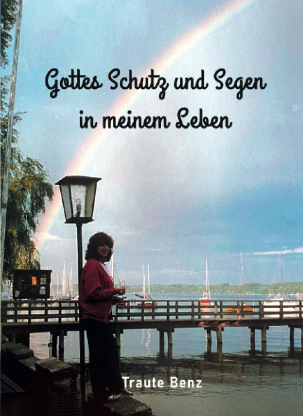 Gottes Schutz und Segen in meinem Leben: Gottes Handeln und Wirken in den kleinen und großen Begebenheiten des Lebens Politics & Society Books