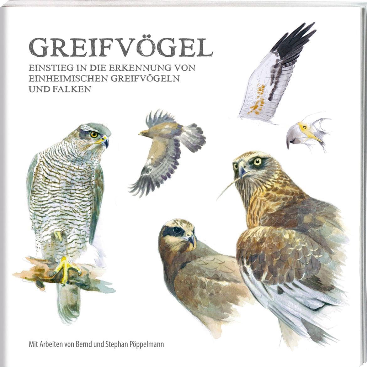 Greifvögel Film, Art & Culture