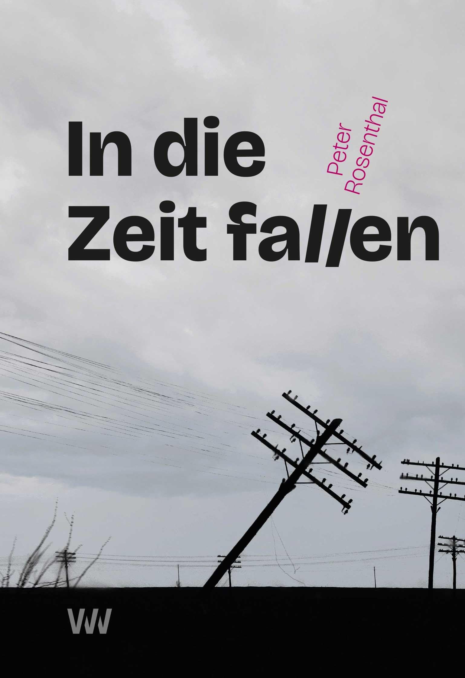 In die Zeit fallen Contemporary literature Books