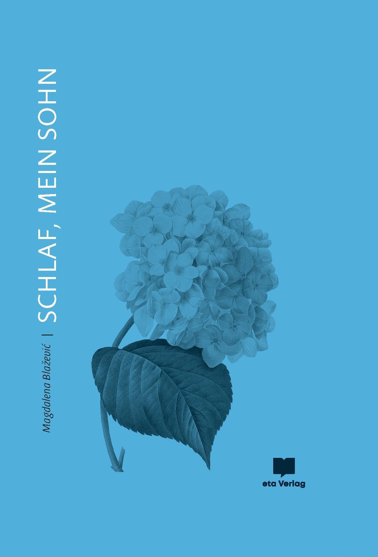 Schlaf, mein Sohn Contemporary literature