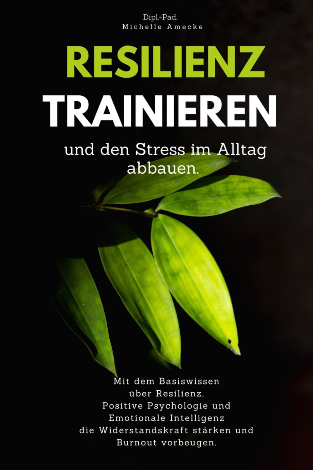 Resilienz trainieren und den Stress im Alltag abbauen: Mit dem Basiswissen über Resilienz, Positive Psychologie und Emotionale Intelligenz die Widerstandskraft stärken und Burnout vorbeugen. Medicine