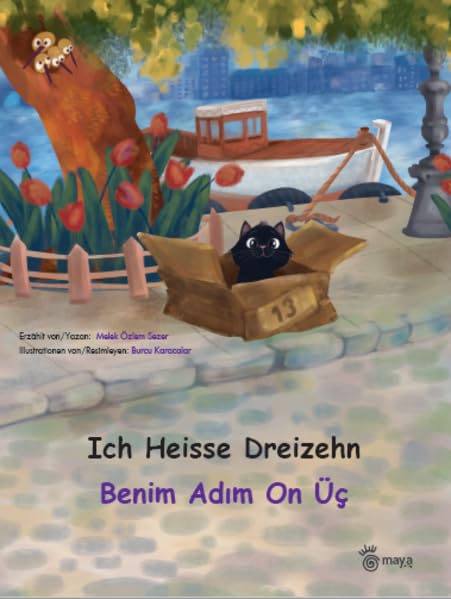 Ich Heisse Dreizehn Benim Adım On Üç Children's books