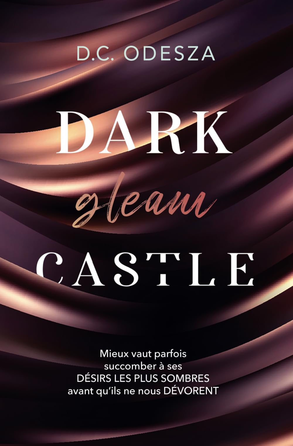 Dark gleam Castle: spicy Dark Reverse Harem (Dark Castle – D.C. Odesza, Band 1) Romantic Thrillers
