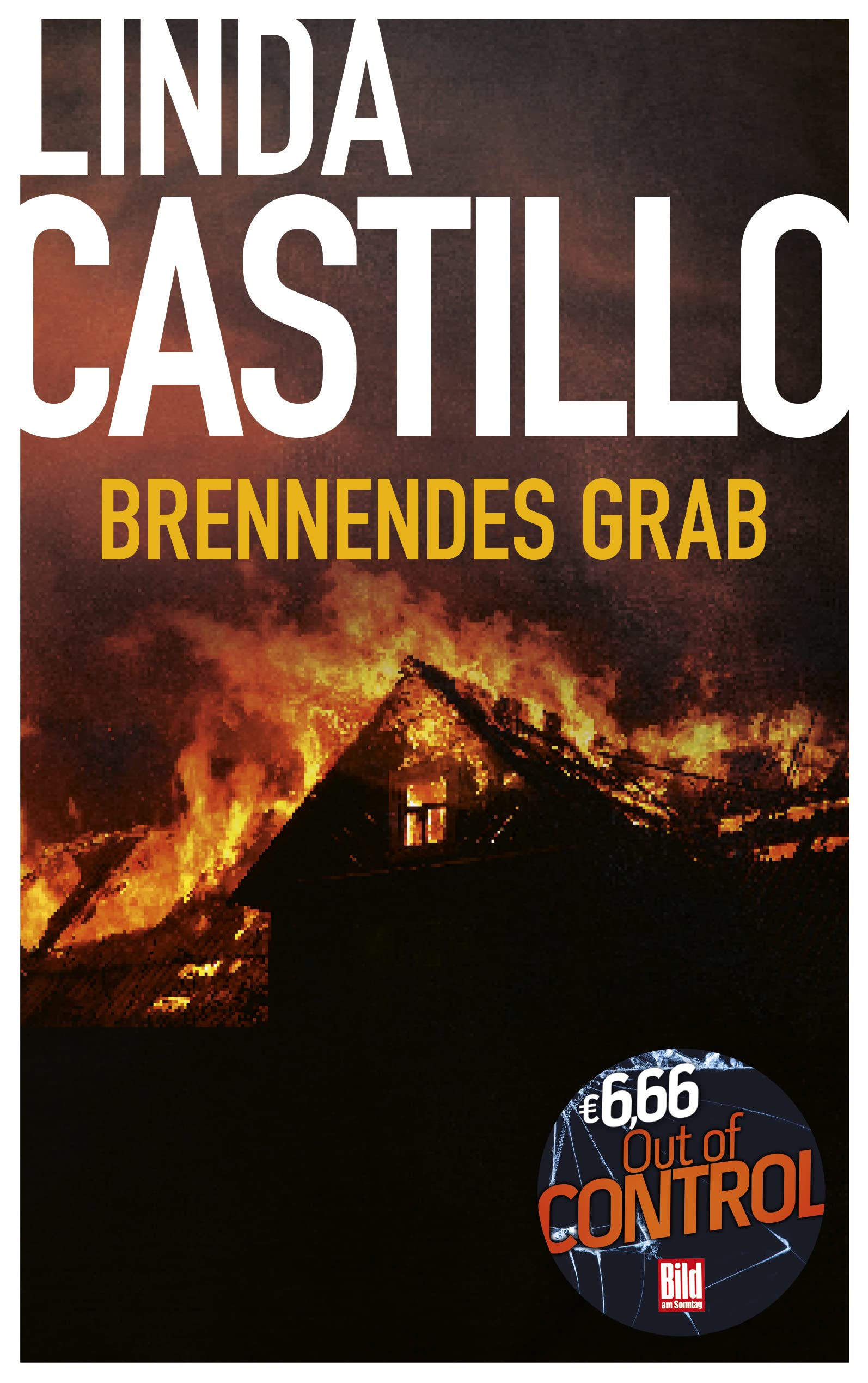 Brennendes Grab Contemporary literature Books