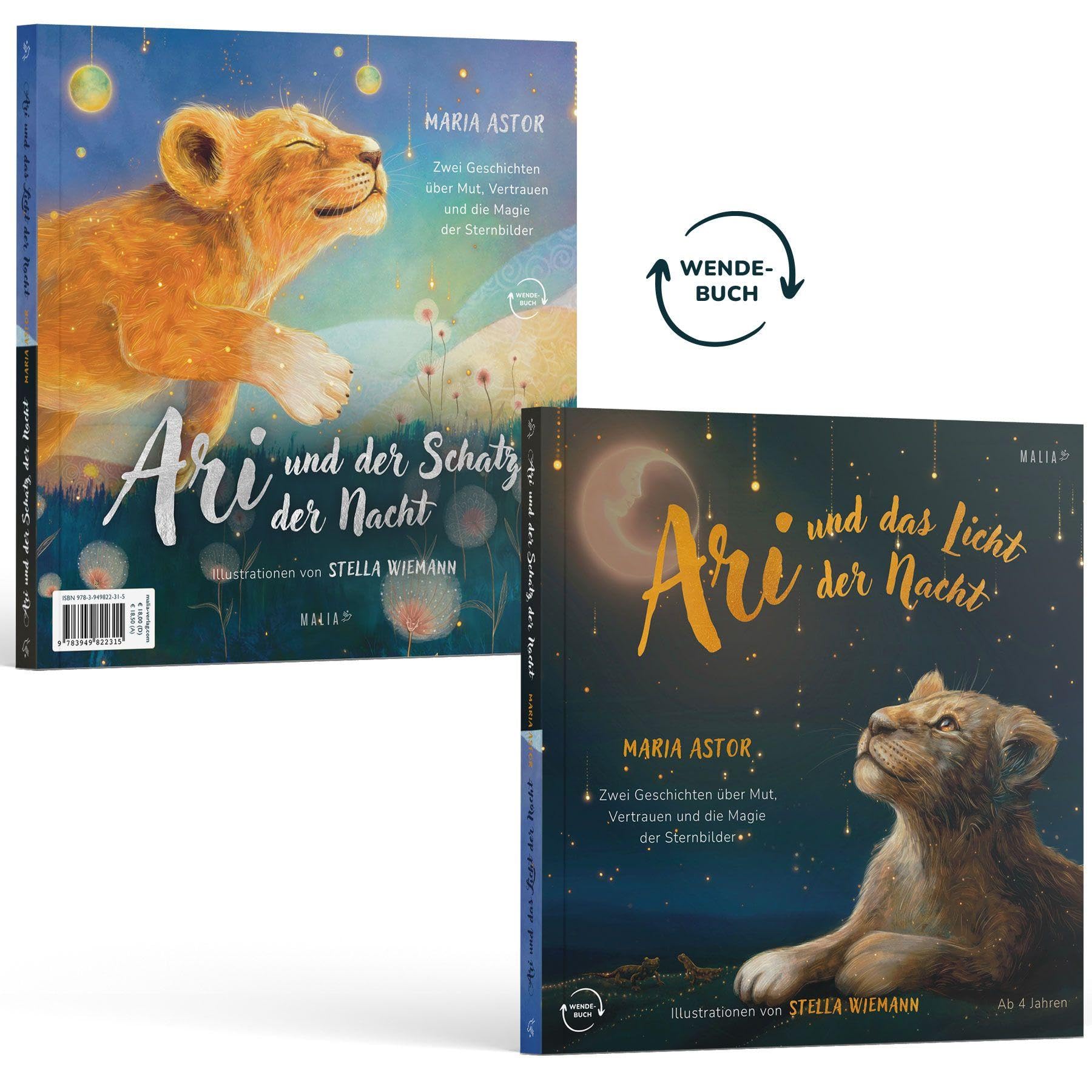 Ari und das Licht der Nacht / Ari und der Schatz der Nacht Business, Finance & Career