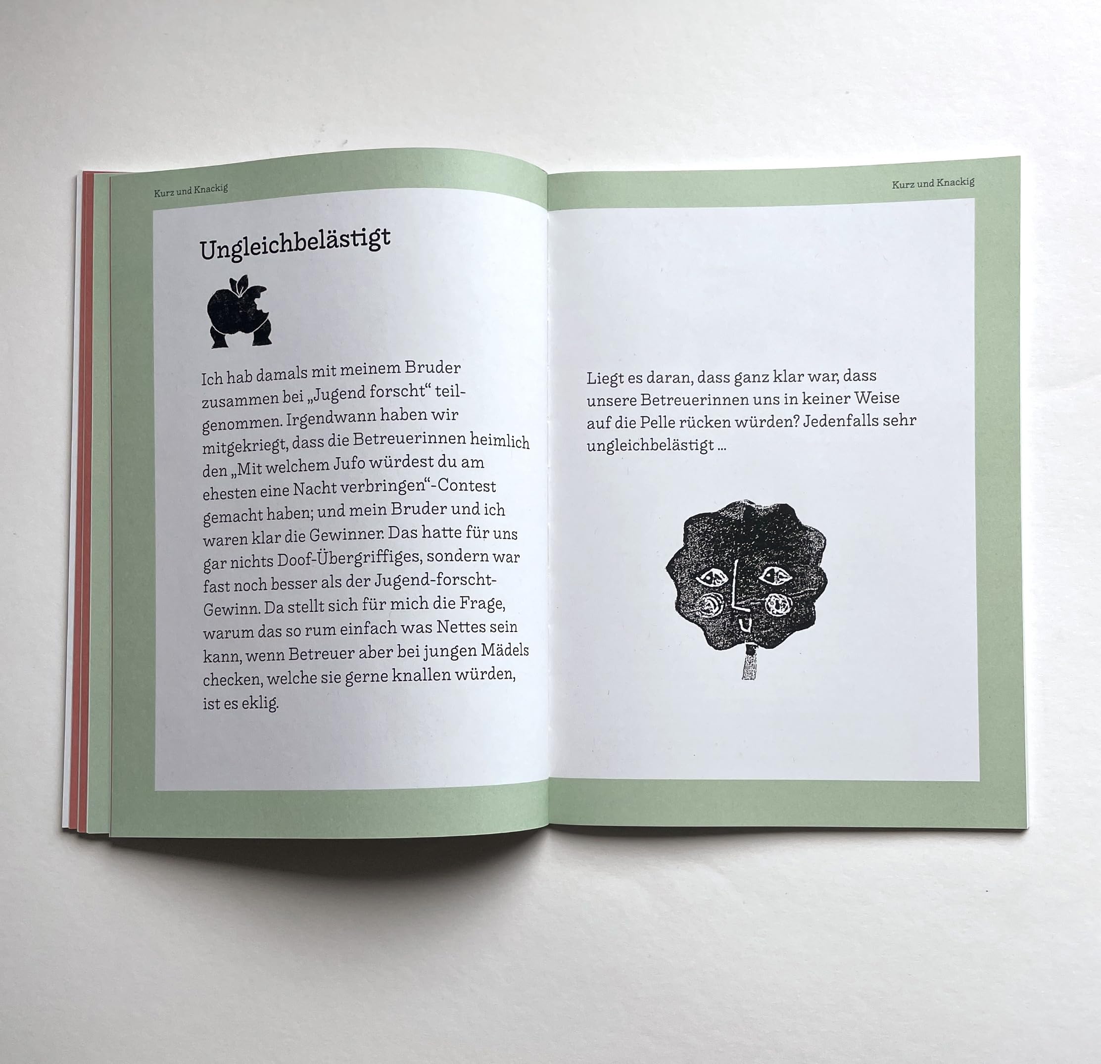 Alles Nix Neues: Stories zwischen gleich und ungleich Social Sciences
