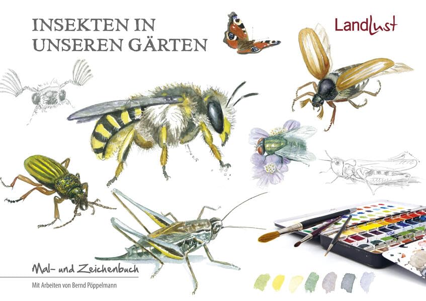 Insekten in unseren Gärten: Mal- und Zeichenbuch Film, Art & Culture