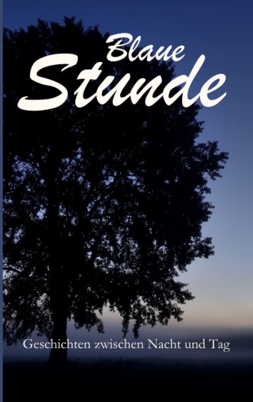 Blaue Stunde: Geschichten zwischen Nacht und Tag Contemporary literature Books