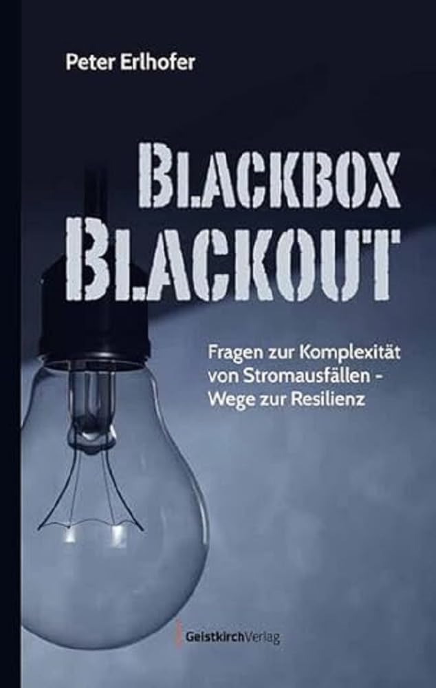 Blackbox Blackout: Fragen zur Komplexität von Stromausfällen - Wege zur Resilienz Business & Technology