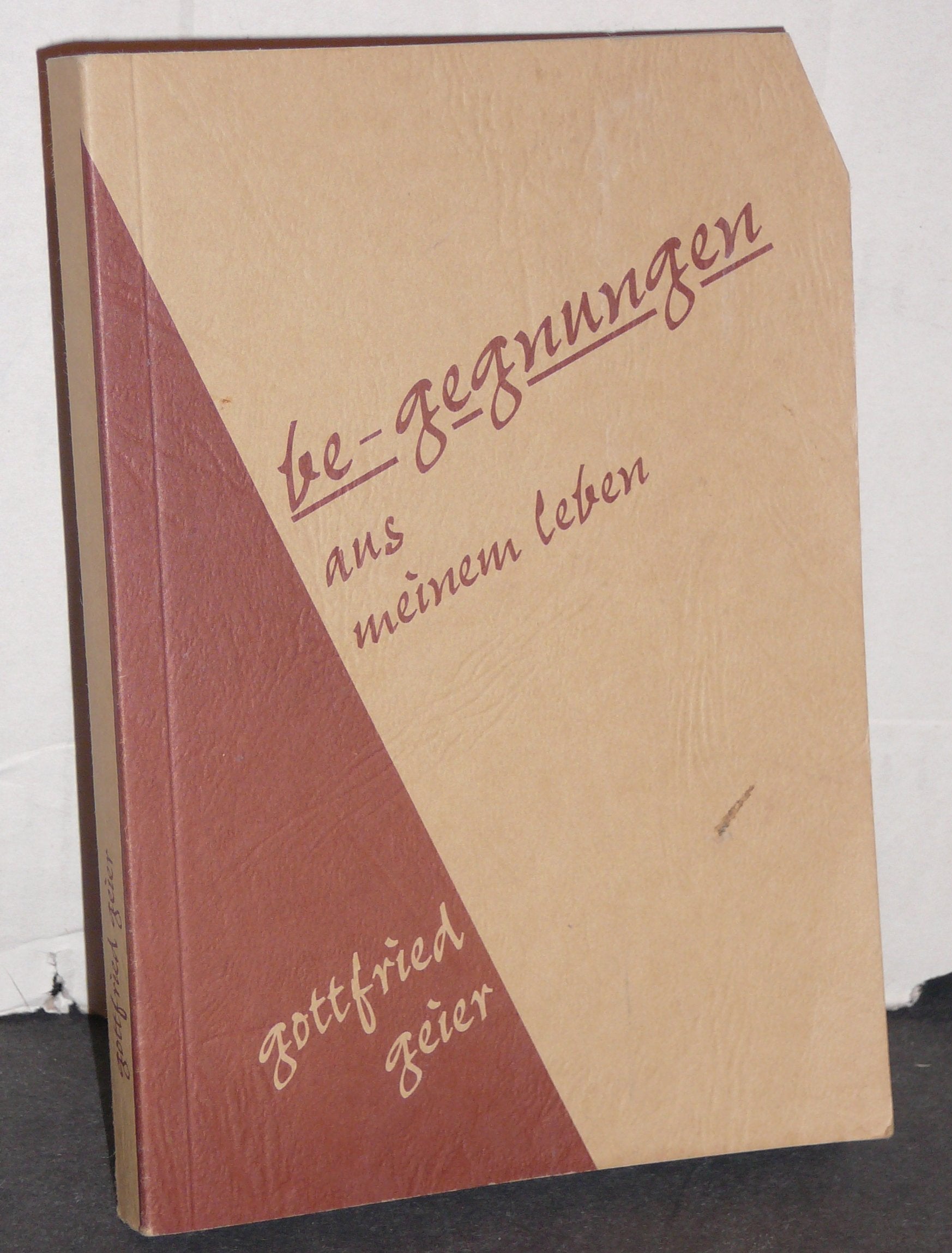 Be-gegnungen: Aus meinem Leben Books