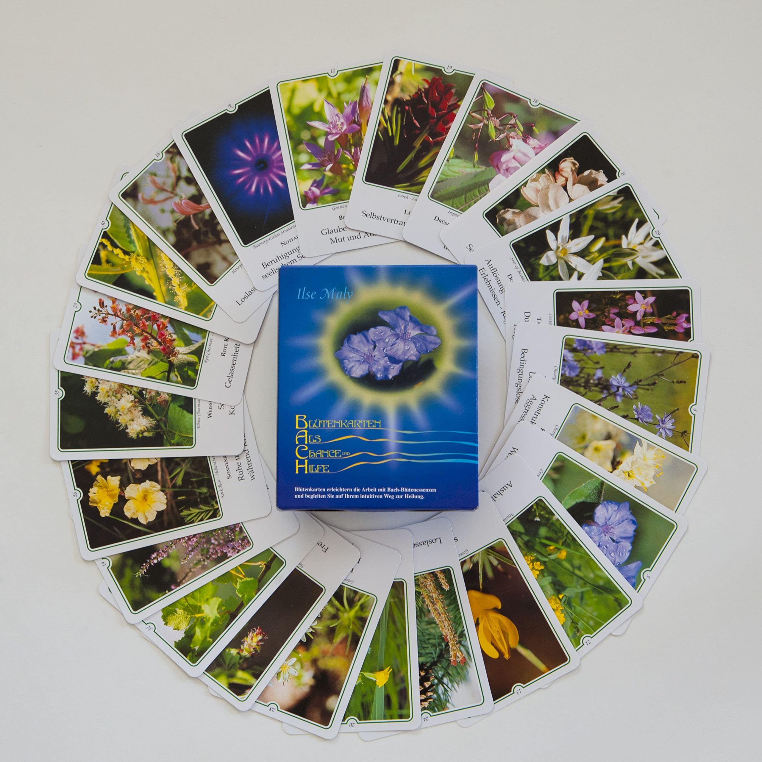 Bachblüten-Karten: Karten - Deutsch. Blüten als Chance und Hilfe: Kartenset mit allen 39 Bachblütenfotos Health, Nutrition & Fitness