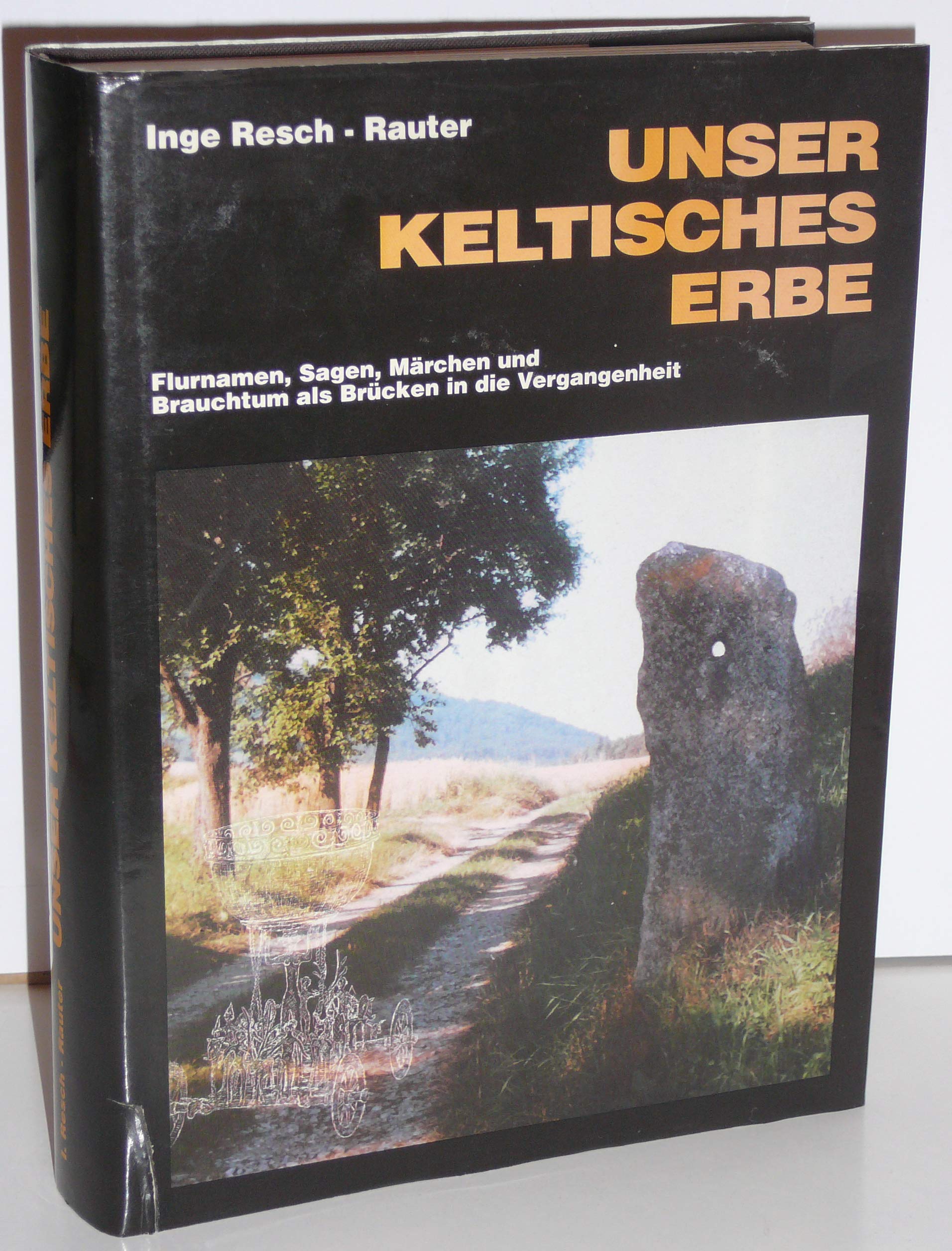 Unser keltisches Erbe - Flurnamen, Sagen, Märchen und Brauchtum als Brücken in die Vergangenheit Books