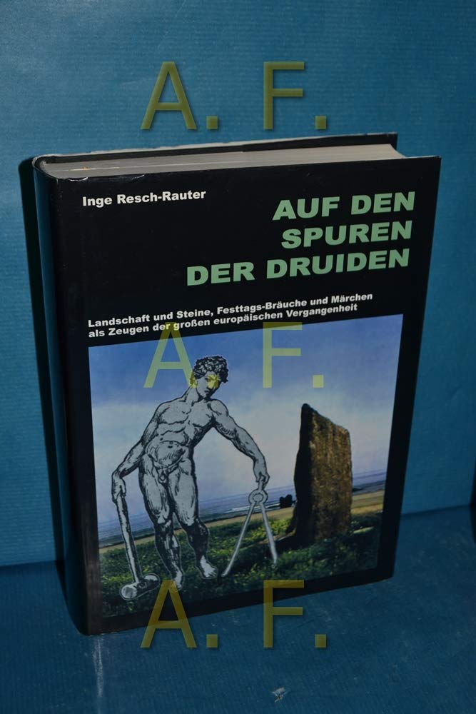 Auf den Spuren der Druiden: Landschaft und Steine, Festtags-Bräuche und Märchen als Zeugen der grossen europäischen Vergangenheit Politics & History