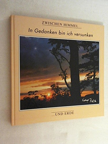 Zwischen Himmel und Erde: In Gedanken bin ich versunken Fiction