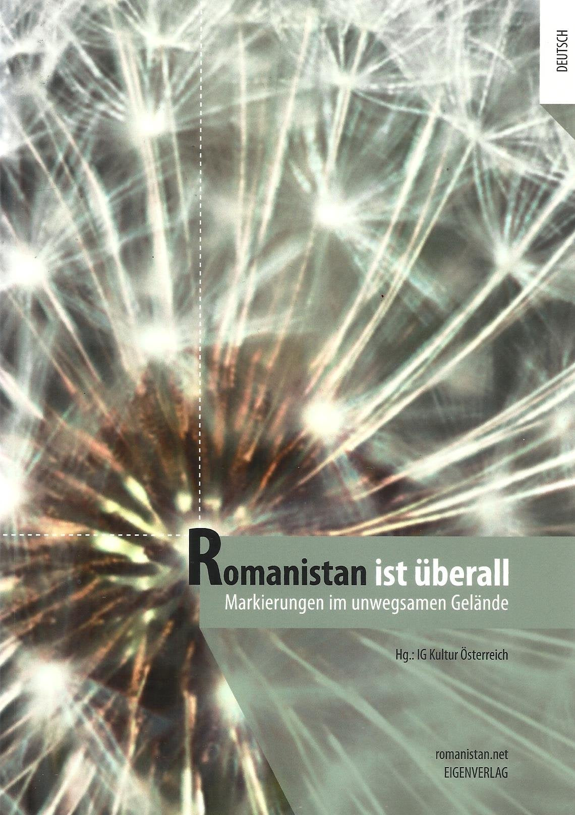 Romanistan ist überall. Markierungen im unwegsamen Gelände Books