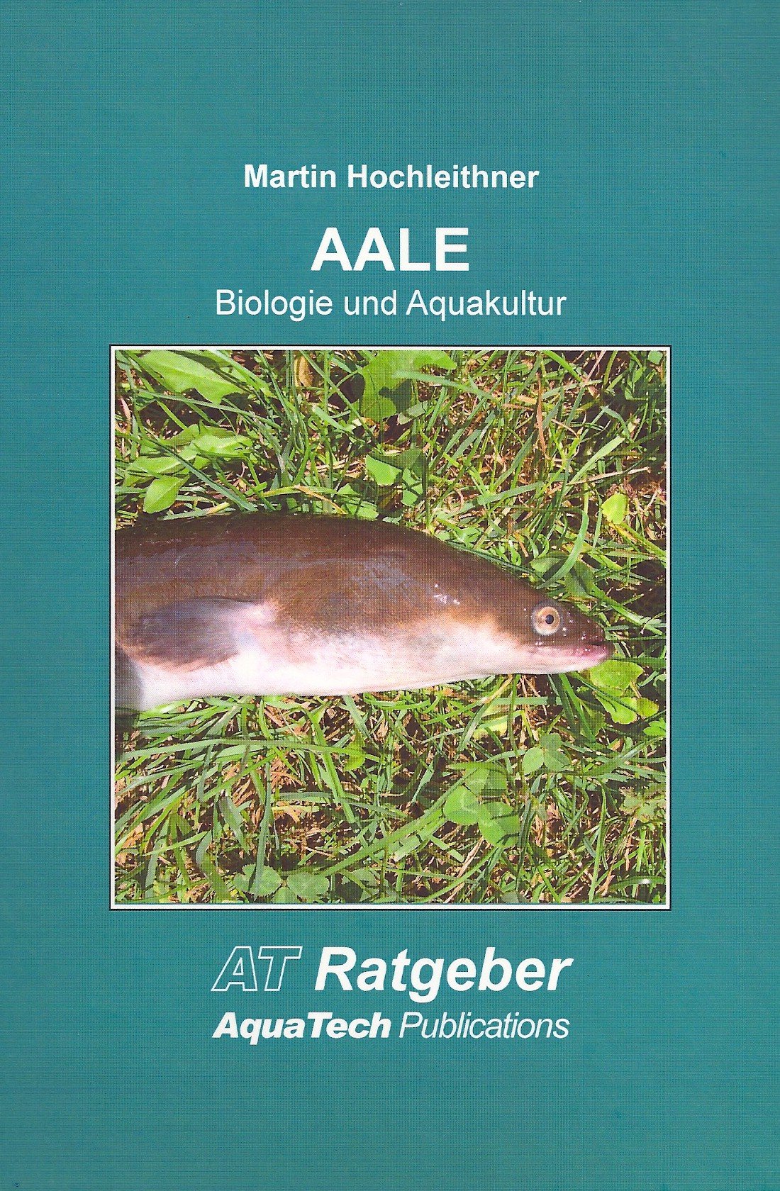 AALE (Anguillidae) Business & Technology Books