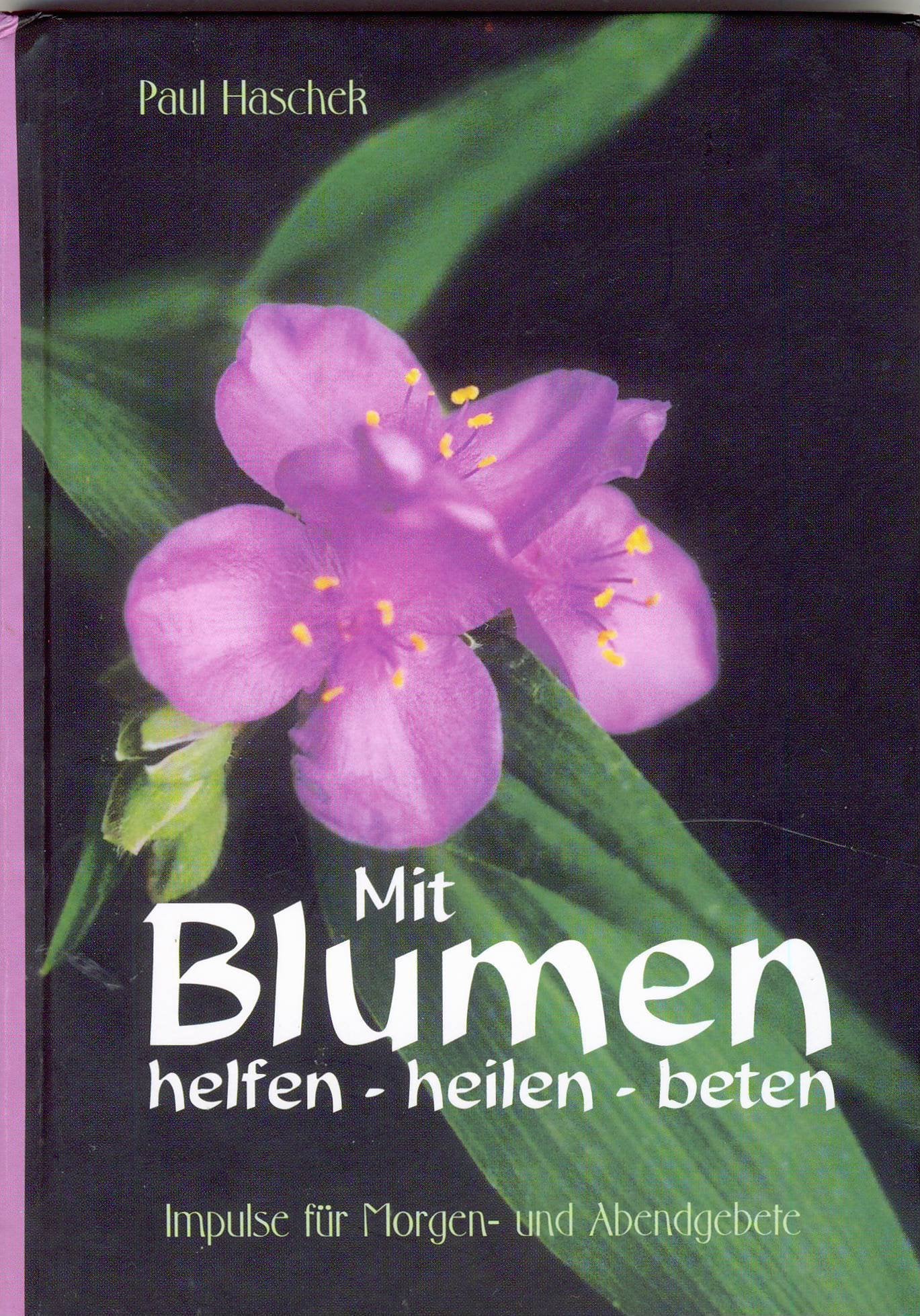 Mit Blumen helfen - heilen - beten (Impulse für Morgen- und Abendgebete) Books