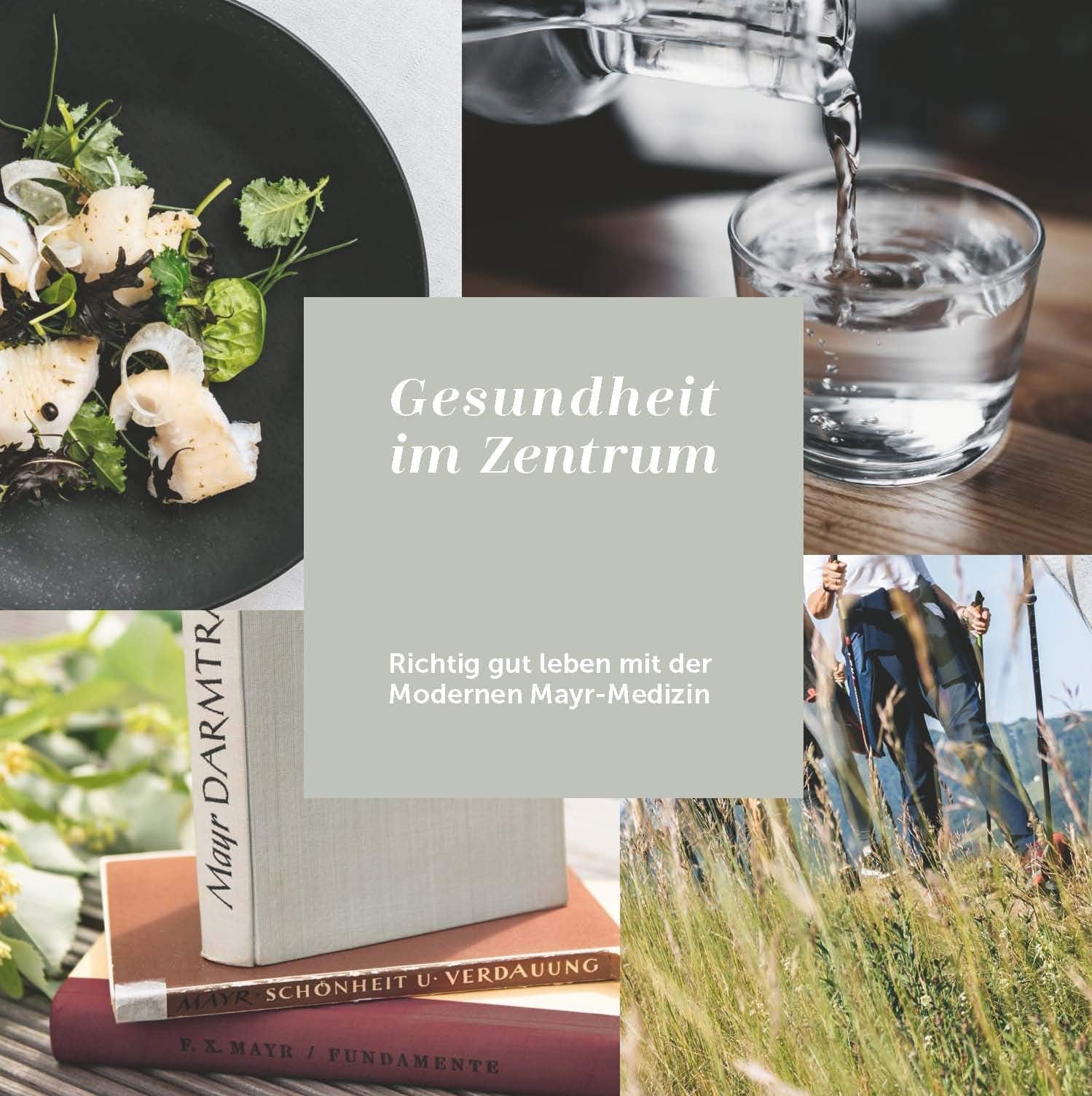 Gesundheit im Zentrum: Richtig gut leben mit der Modernen Mayr-Medizin - Gesundheitszentrum Igls GmbH book