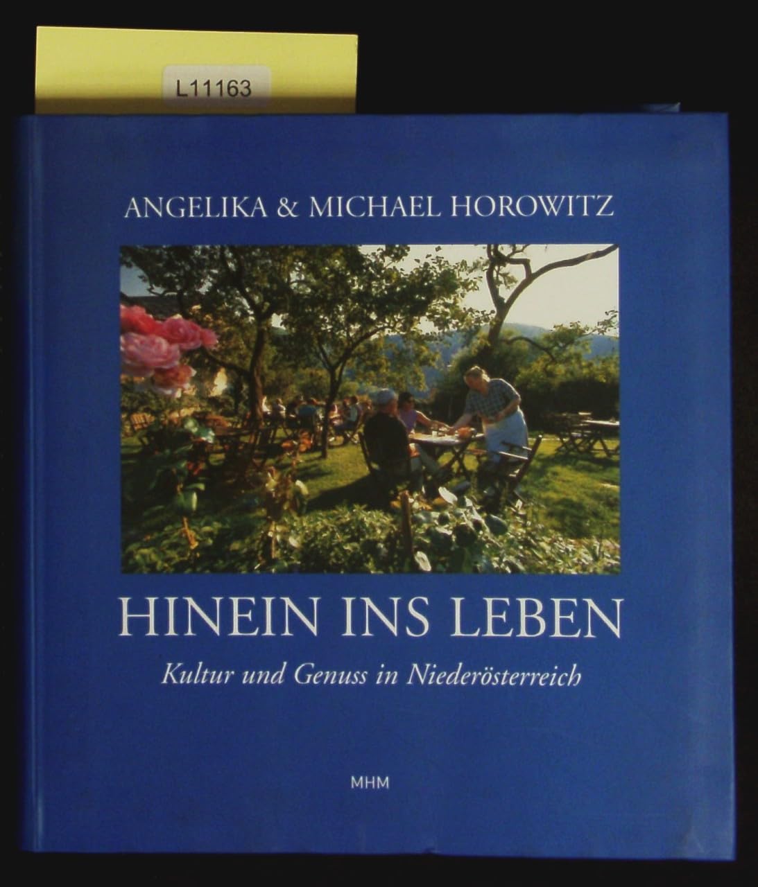HINEIN INS LEBEN: Kultur und Genuss in Niederösterreich Contemporary literature