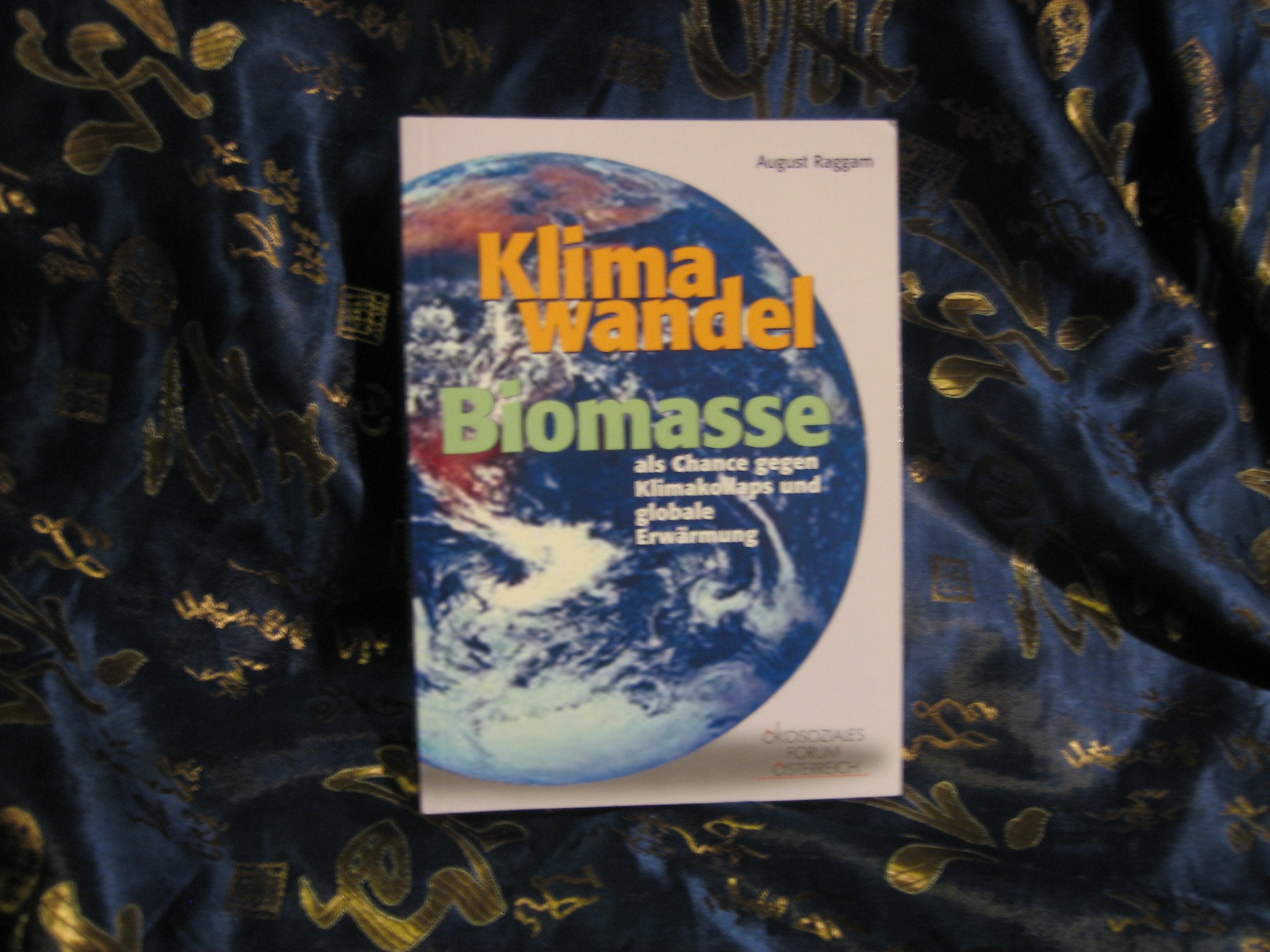 Klima Wandel Biomasse als Chance gegen Klimakollaps und globale Erwärmung - August Raggam book
