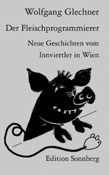Der Fleischprogrammierer: Neue Geschichten vom Innviertler in Wien Contemporary literature