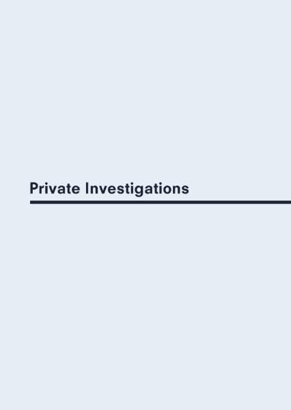 Private Investigations: Paths of Critical Knowledge Production in Contemporary Art (Büchs'n'Books) Film, Art & Culture