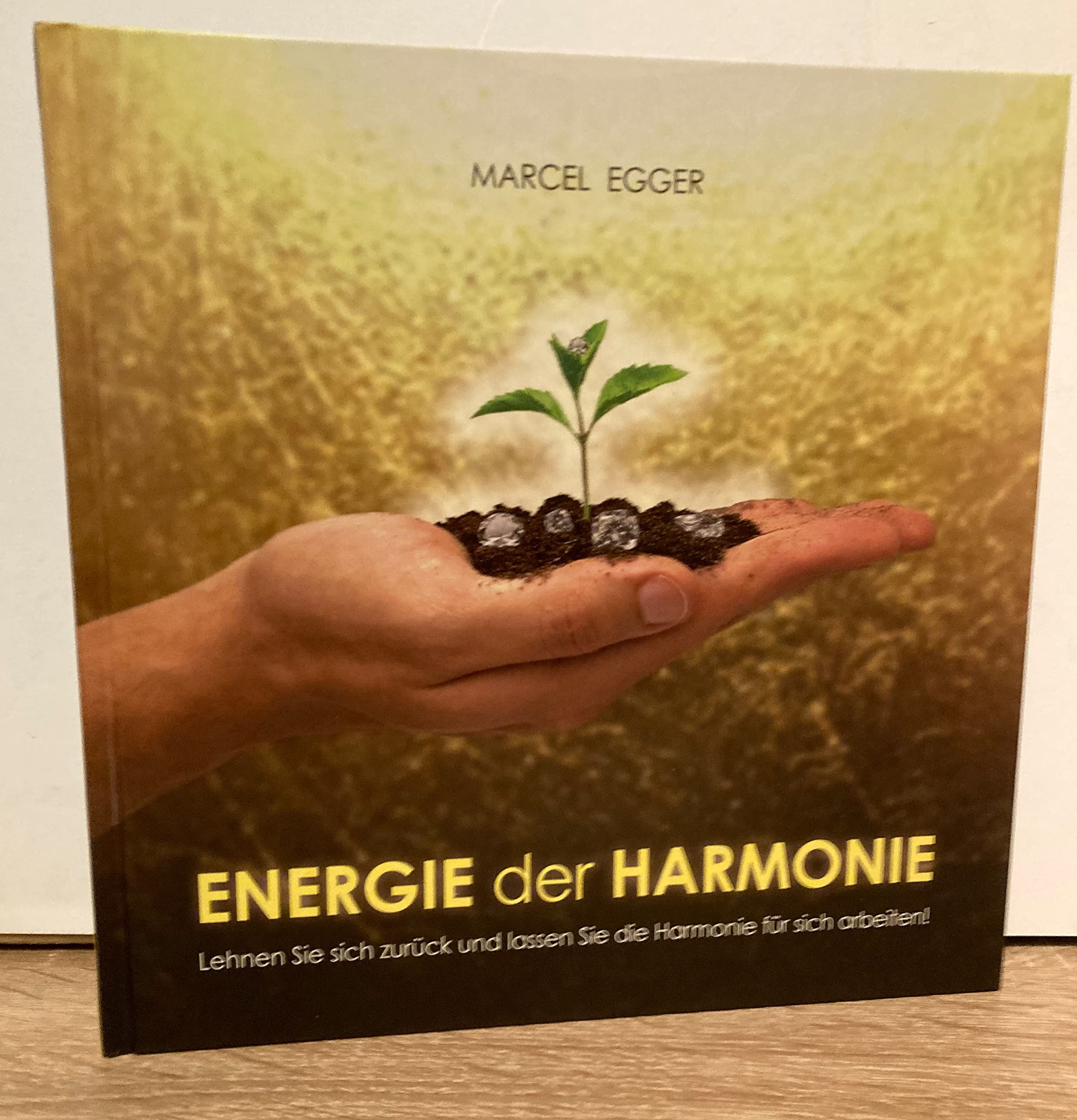 ENERGIE der HARMONIE: Lehnen Sie sich zurück und lassen Sie die Harmonie für sich arbeiten! Business, Finance & Career