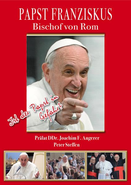 Papst Franziskus: Bischof von Rom - Steffen, Peter book