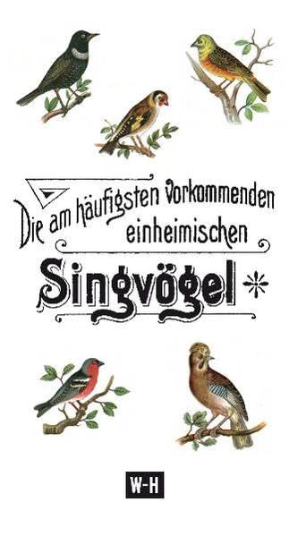 Die am häufigsten vorkommenden heimischen Singvögel Politics & History