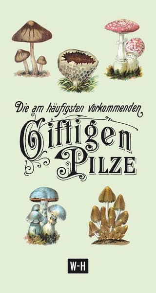 Die am häufigsten vorkommenden giftigen Pilze Architecture