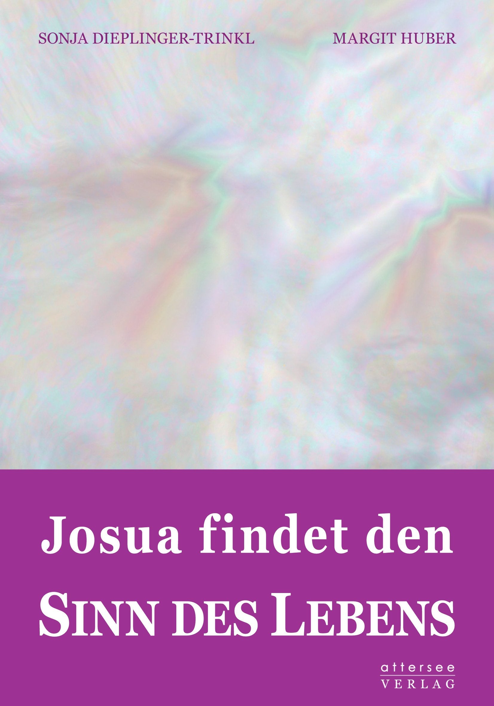 Josua findet den SINN DES LEBENS: ein lebensphilosophischer Abenteuerroman Lifestyle