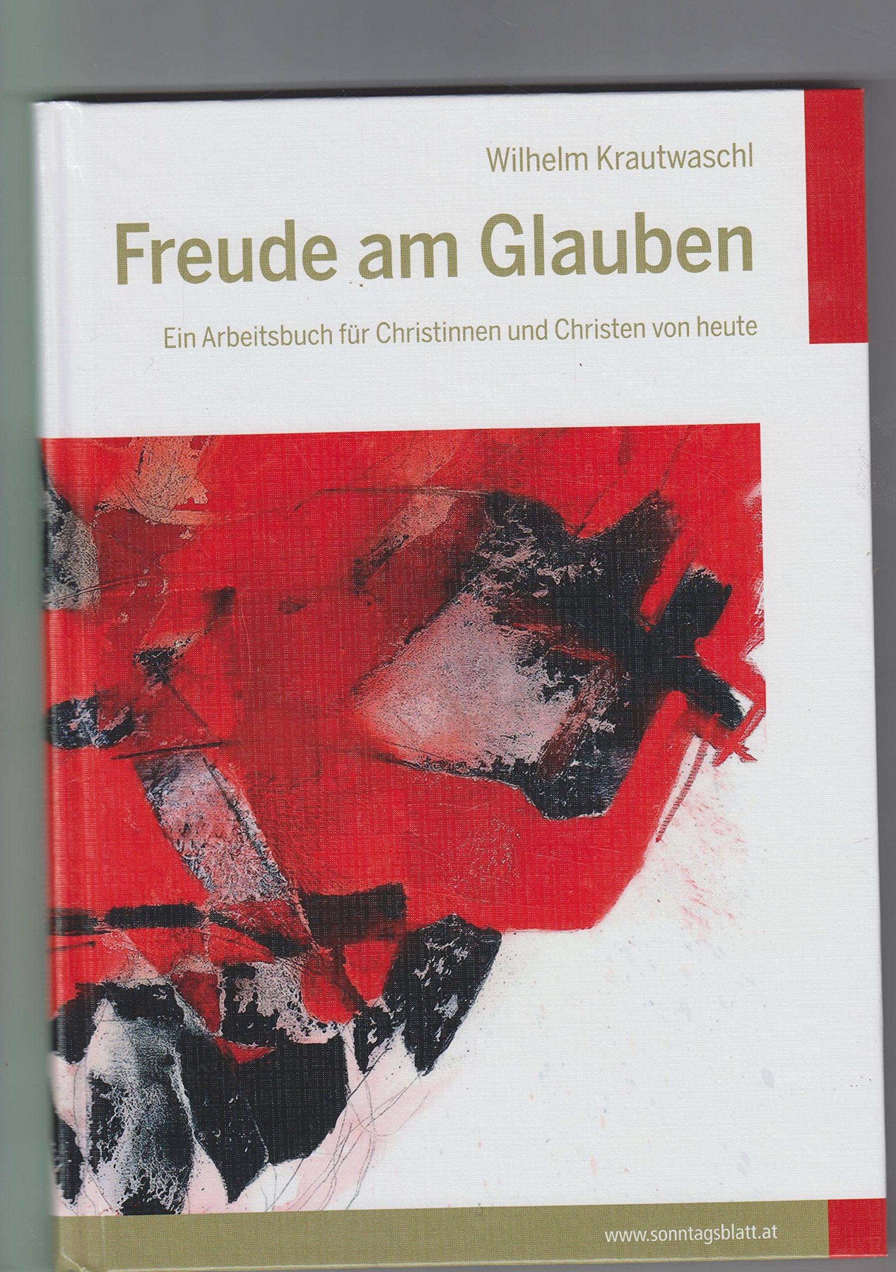Freude am Glauben - Ein Arbeitsbuch für Christinnen und Christen von heute Books