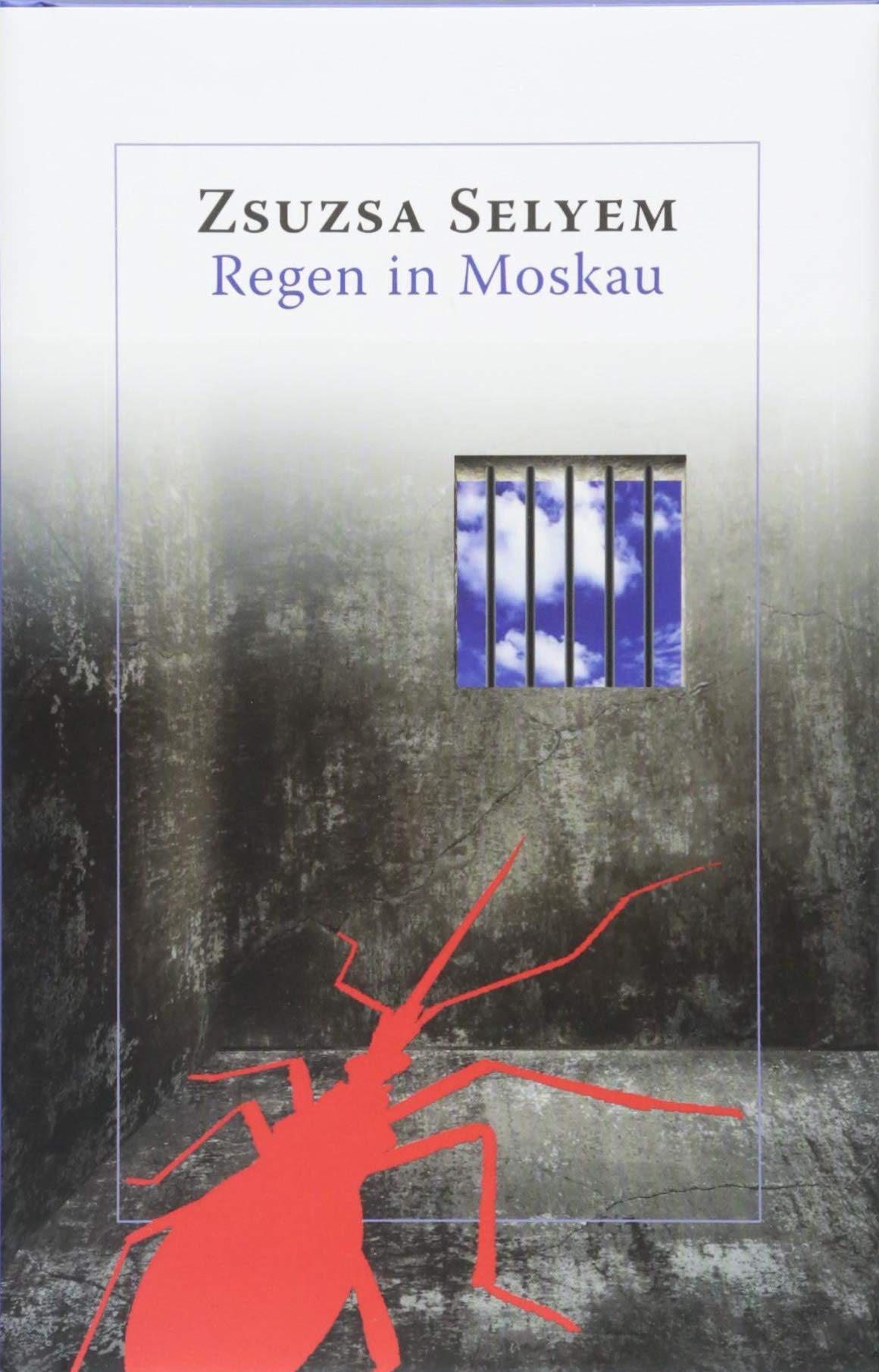 Regen in Moskau Historical Fiction