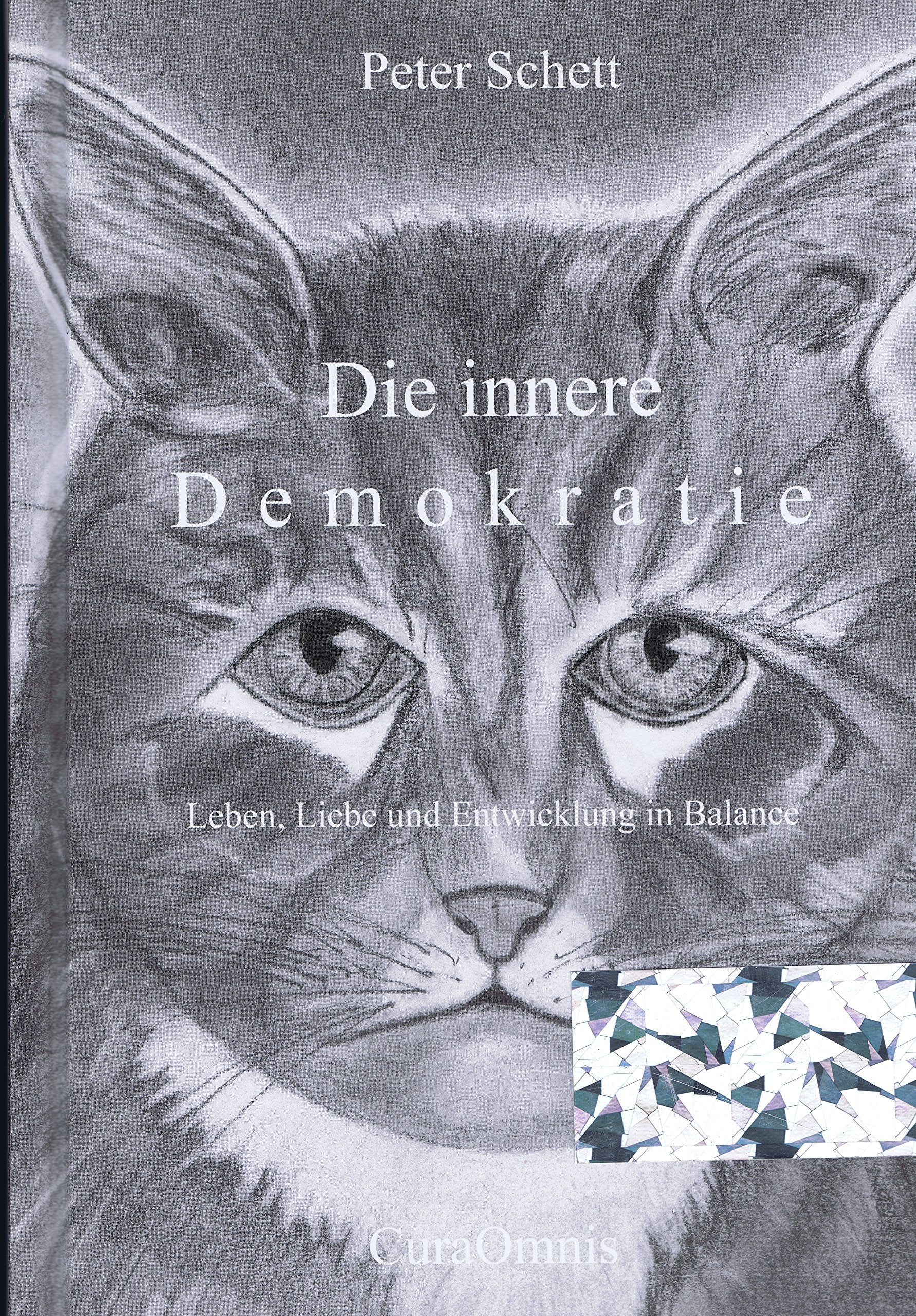 Die innere Demokratie: Leben, Liebe und Entwicklung in Balance Books