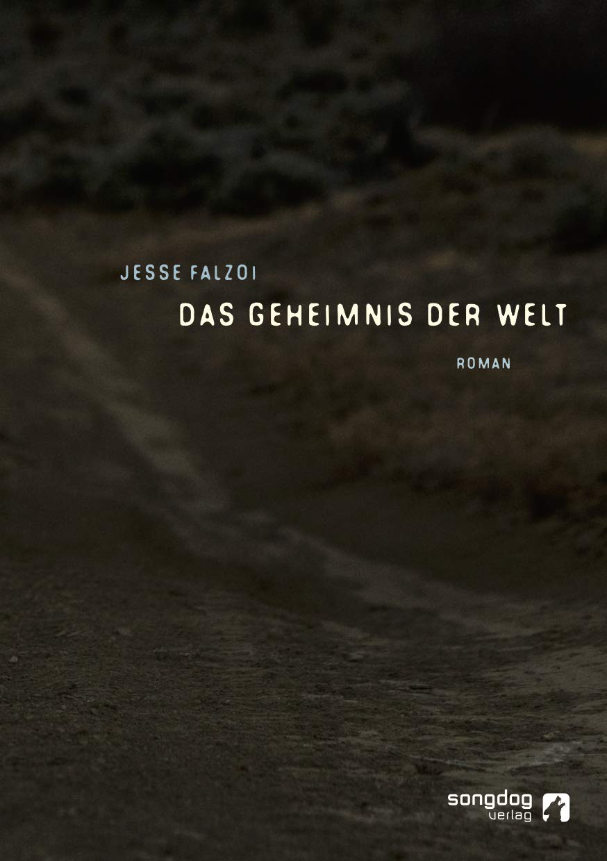 Das Geheimnis der Welt: Roman - Falzoi, Jesse book