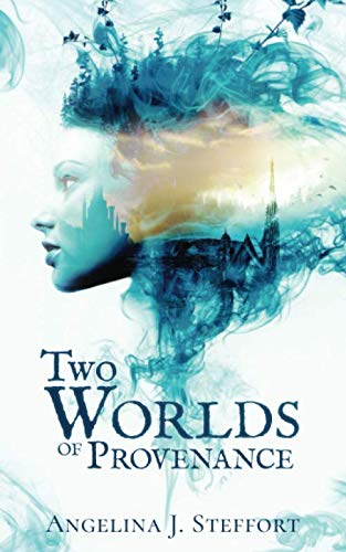 Two Worlds of Provenance book