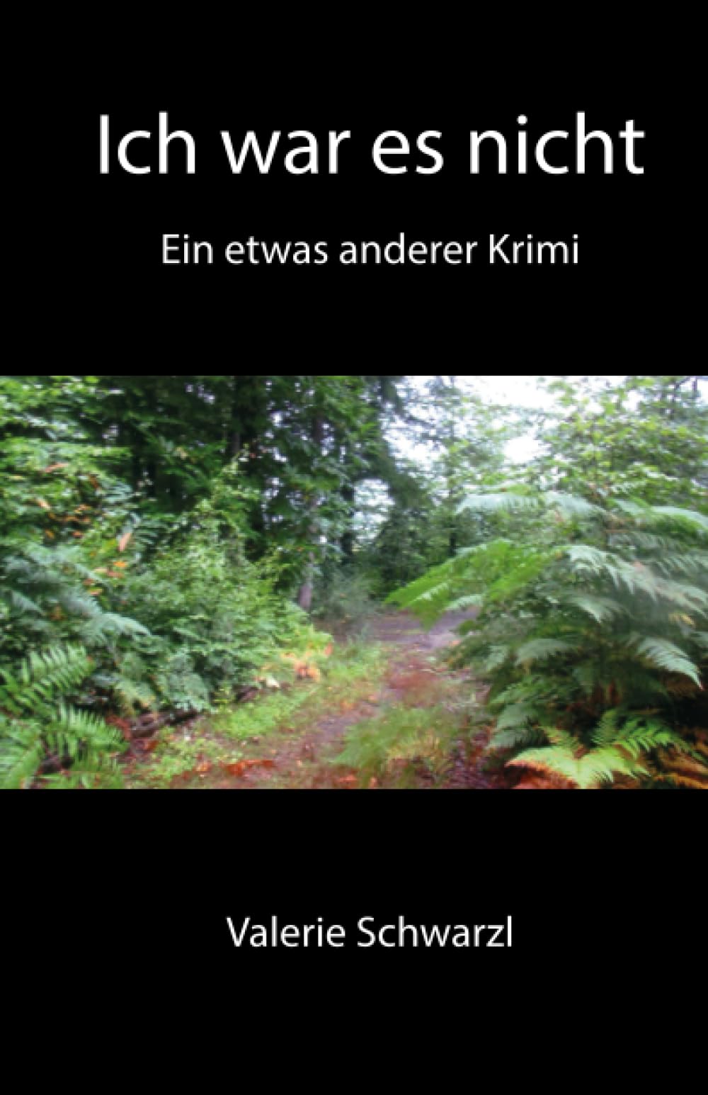 Ich war es nicht: ein etwas anderer Krimi Historical Fiction
