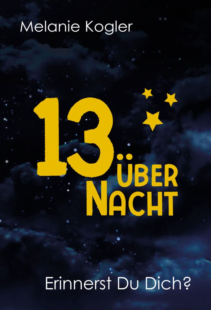 13 über Nacht: Erinnerst Du Dich? book