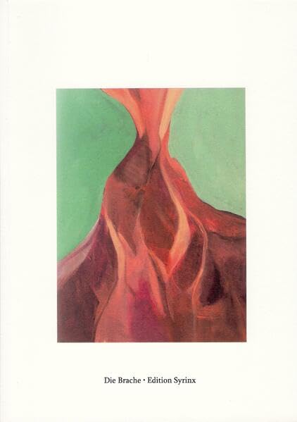 Flumen: Neue Bilder (Die Brache: Edition Syrinx) Film, Art & Culture